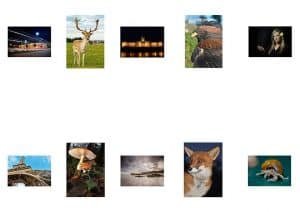 Framing Gallery 9